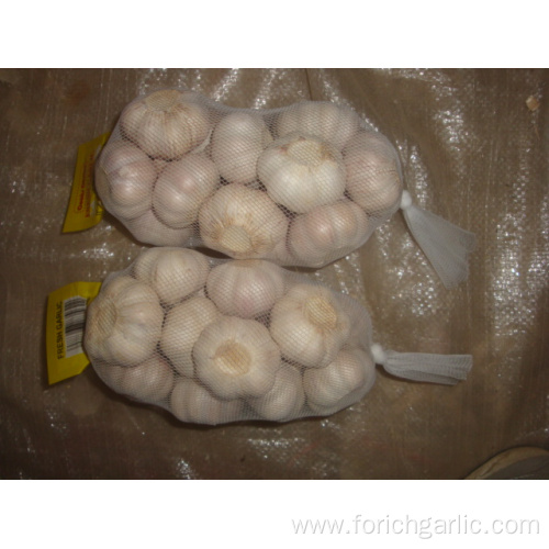 Large Bag Normal White Garlic Packed 500g bag
